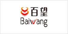 百望